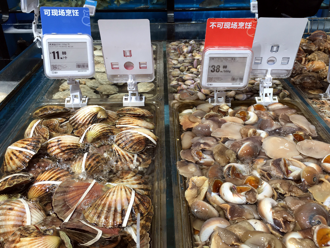 釣ったカサゴで清蒸魚！魚を蒸して油をかけるだけで簡単旨い