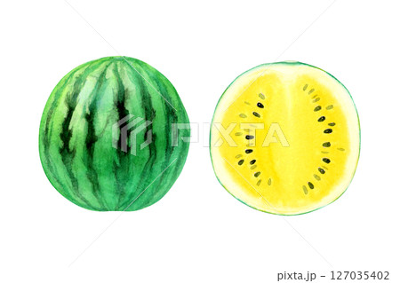 スイカ、断面」の写真・イラスト素材アマナイメージズ