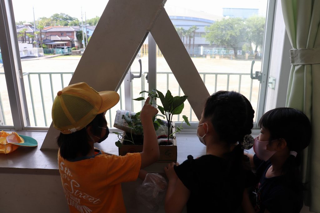 私は誰でしょうクイズ40選。食べ物・有名人・動物など面白い問題が盛りだくさん「マイナビウーマン」