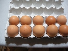 うずらのひよこ卵クラシル