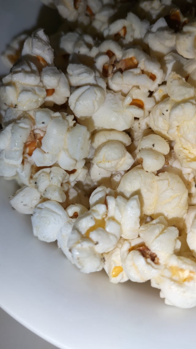 ポップコーンを畑で作ろう、放任で大丈夫なはずなのに、今年は異変、鳥や虫に食われまくり？プリメロ菜園通信