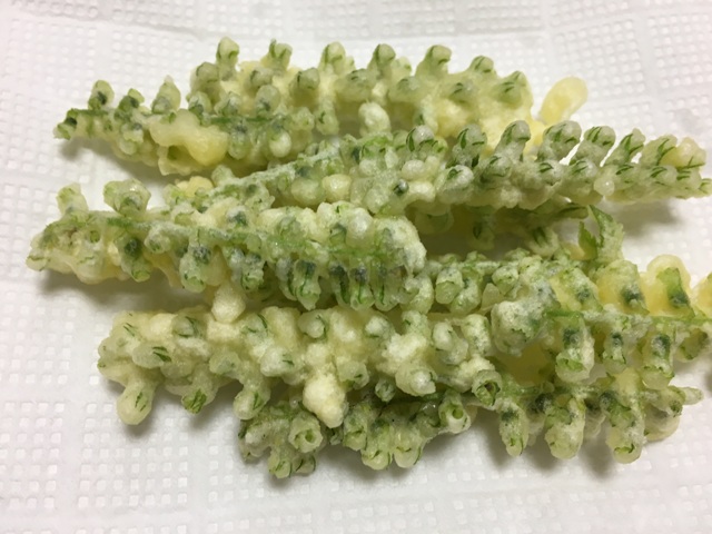 しその実天ぷらの夕ご飯あちぃこの徒然日記