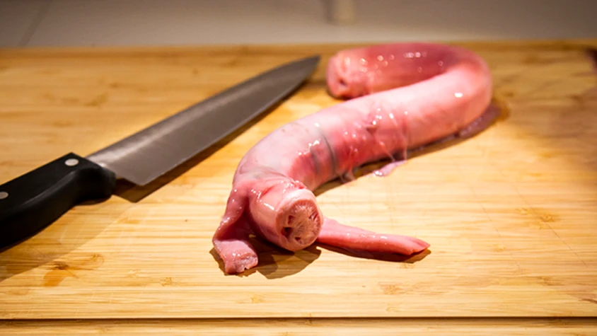 世界の珍味体験！？注：キモイ写真有です: ニューヨークからの便り