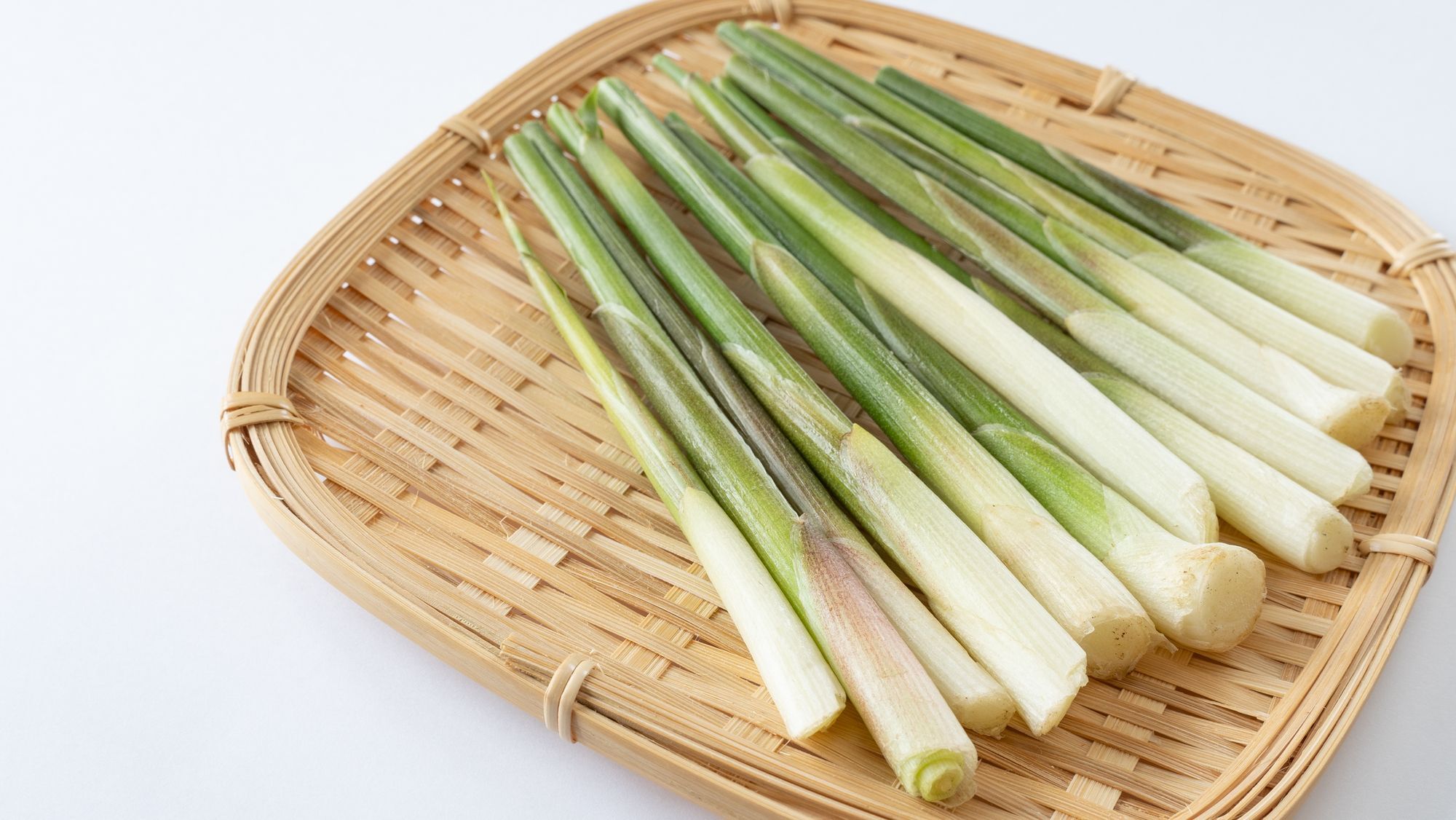 100均でみょうがの地下茎を購入！毎年収穫を目指す方法。LOVEGREEN ラブグリーン