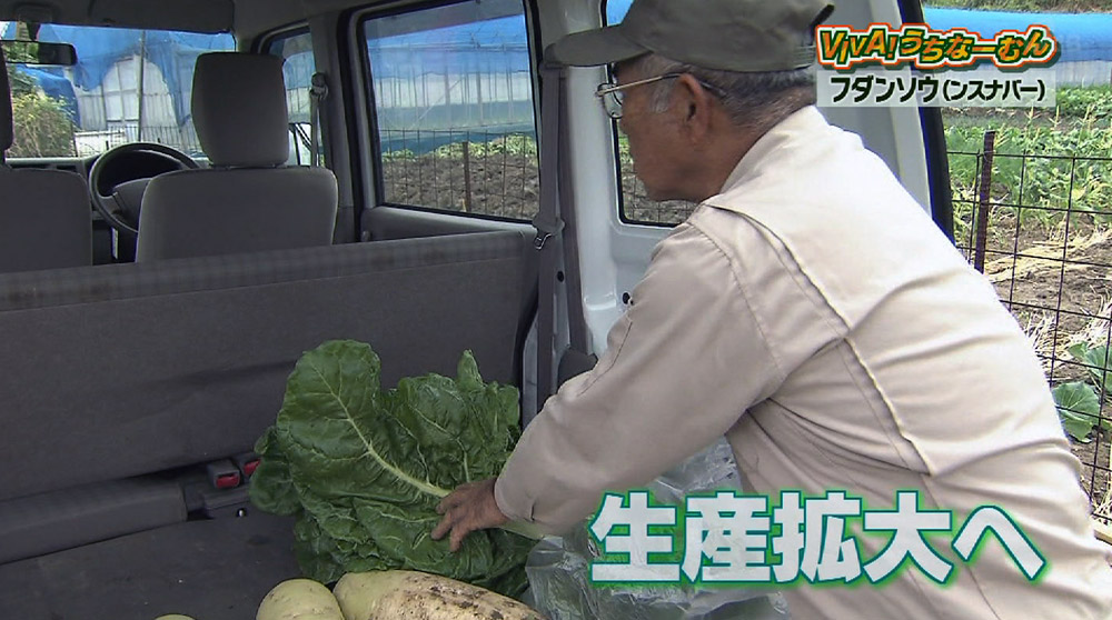 VIVA!うちなーむん 注目の伝統野菜～フダンソウ～ – QAB NEWS Headline