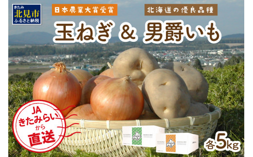 赤玉ねぎ 学名Allium Cepa別名球根玉ねぎまたは一般的な玉ねぎ 野菜ベジタリアン料理の写真素材・画像素材 Image 171217359