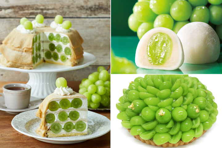 シャインマスカットケーキかんてんぱぱ 伊那食品工業株式会社