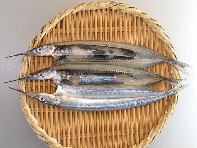 魚編の漢字一覧Sushi Sakana design