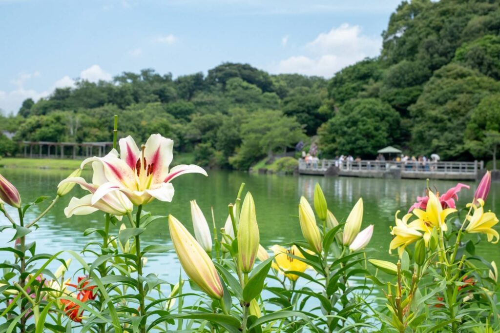 新潟県の滝－七ツ釜 | 滝を探して・・・