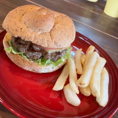 沖縄北部にある島の絶品ハンバーガー屋さん「ベンジャミンバーガー」ワールドダイビング