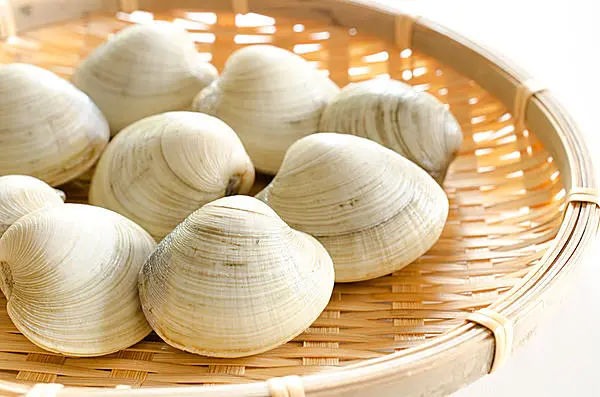 デキスギ食べ比べそれにしてもハマグリは相変わらず美味しい✨ 翌日のホンビノス貝も変わらず美味しい✨という シジミ汁が好きなのですがこの肉厚 ？ 貝殻の厚みこそ はまはまはまぐり食べてるなー😆の醍醐味 貝💓‪角上魚類はまぐりハマグリ蛤‬