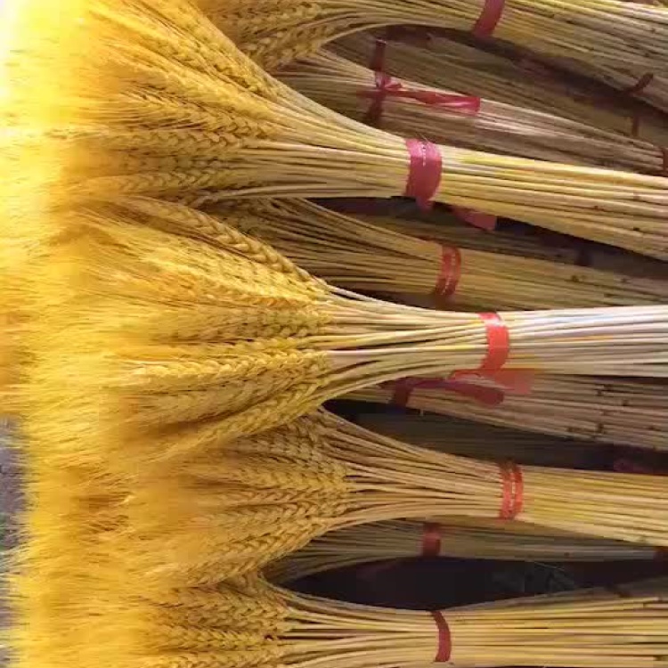 兆亮珠宝古法黄金麦穗点钻转运珠，精致女款项链-黄金镶宝石吊坠-淘宝好物网