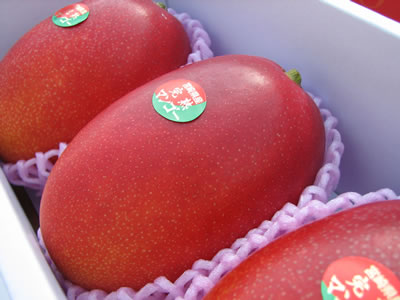 宮崎県の文化と名産品旅の基本情報たびらい