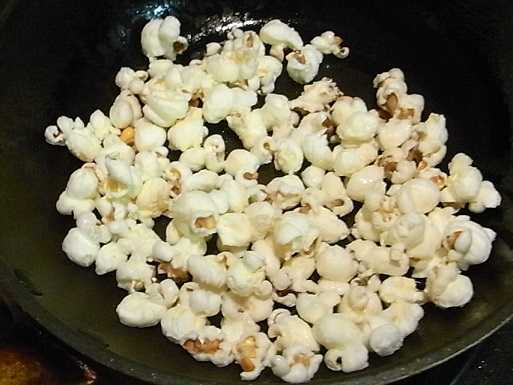 畑作業2回目：虫とりに夢中、ポップコーンに夢中さいたま緑の森博物館