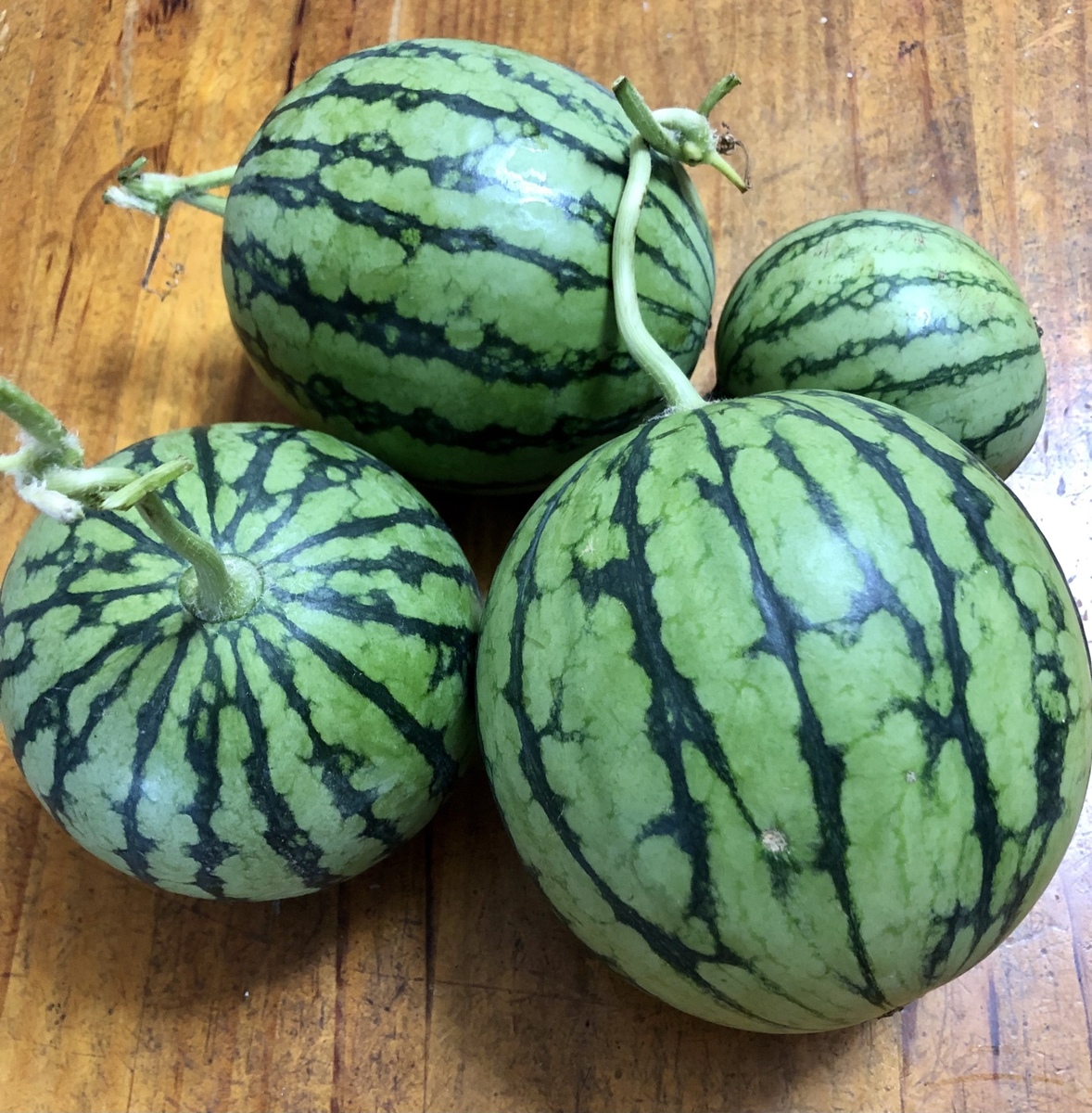 スイカ畑」の写真素材36,090件の無料イラスト画像Adobe Stock