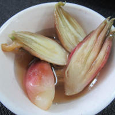 95%が水分!?夏バテ対策におすすめなみょうがの栄養＆効能とは - nomina