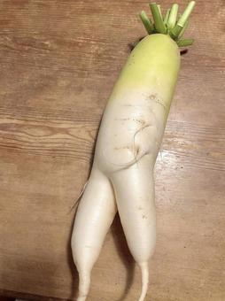 変な形の野菜について