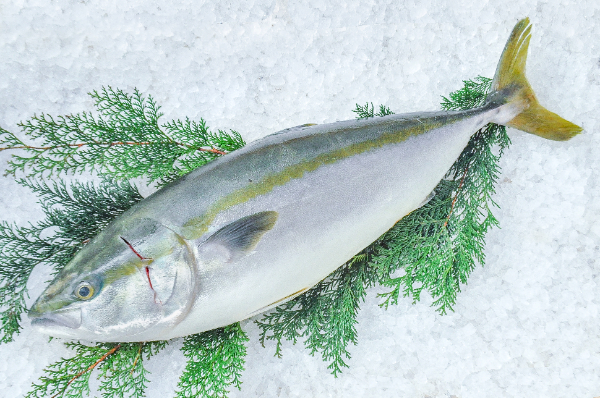 ぷりちぐでの1年記念！TikTok