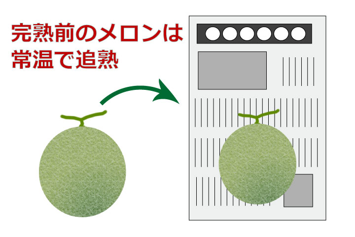 カットメロンの劣化が早くなる保存方法とは？栄養士が解説 栄養士食堂- エキスパート - Yahoo!ニュース