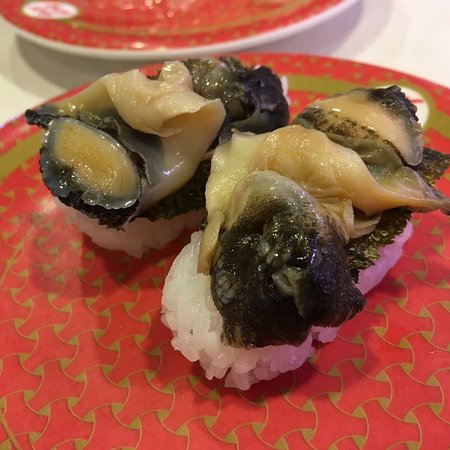 赤西貝 - アカニシガイ -Fのかがやき