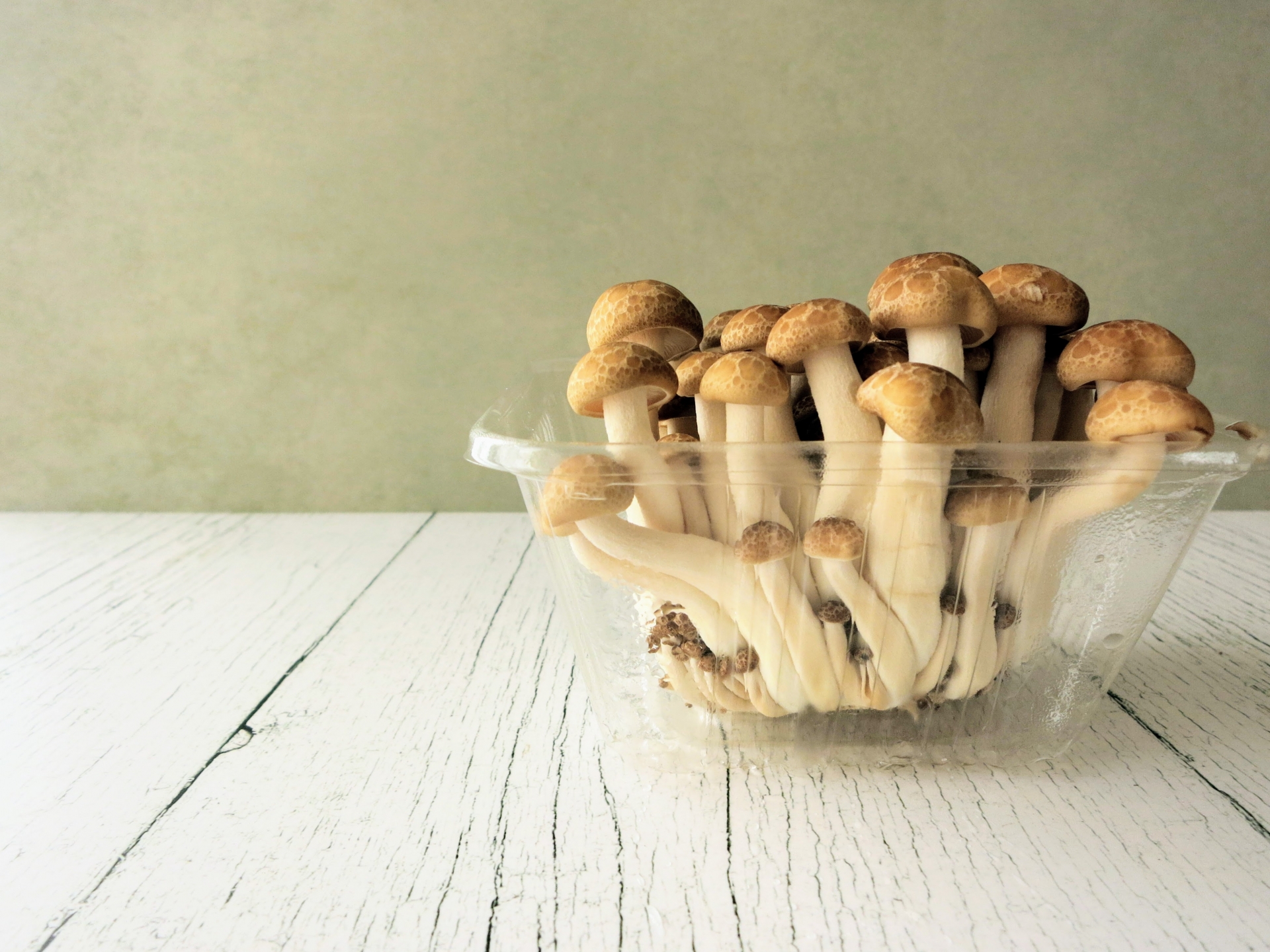 知らずに損しているかも？！ぶなしめじの正しい切り方関東きのこの会