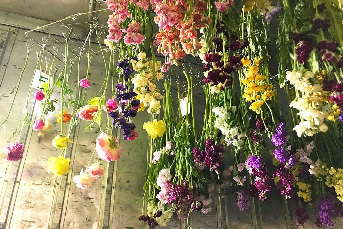 花農家直送 花畑に咲く季節の花を販売おのくぼセット花処おのくぼ