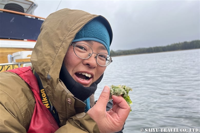 ニシン鰊 の特徴・生態、食べ方や旬、料理を徹底解説！とともん