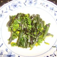 春野菜 紅菜苔 紅菜花 のツナマヨ和え