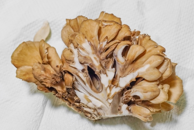 旨み！香り！色！濃い濃い舞茸 埼玉県産 有機野菜 通販 Ｏｉｓｉｘ おいしっくす