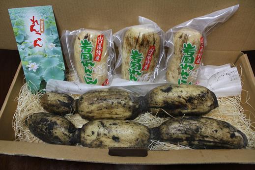 れんこんの保存方法は3つ！れんこんを使ったレシピも紹介ピエトロラジオ「いただきます！」を楽しくするwebマガジン