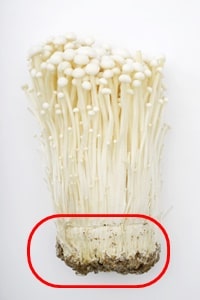 まいたけ」の石づき、どこで切るが正解？「ひょっとして捨ててたかも？」元スーパーの店員が解説 ぱるとよ- エキスパート - Yahoo!ニュース