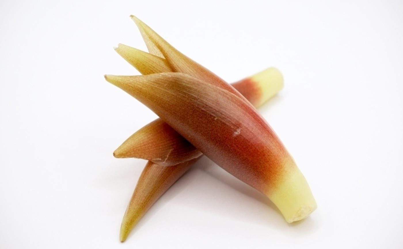 みょうがのNG やってたら今やめよう!みょうがのNG行動! 菅智香- エキスパート - Yahoo!ニュース