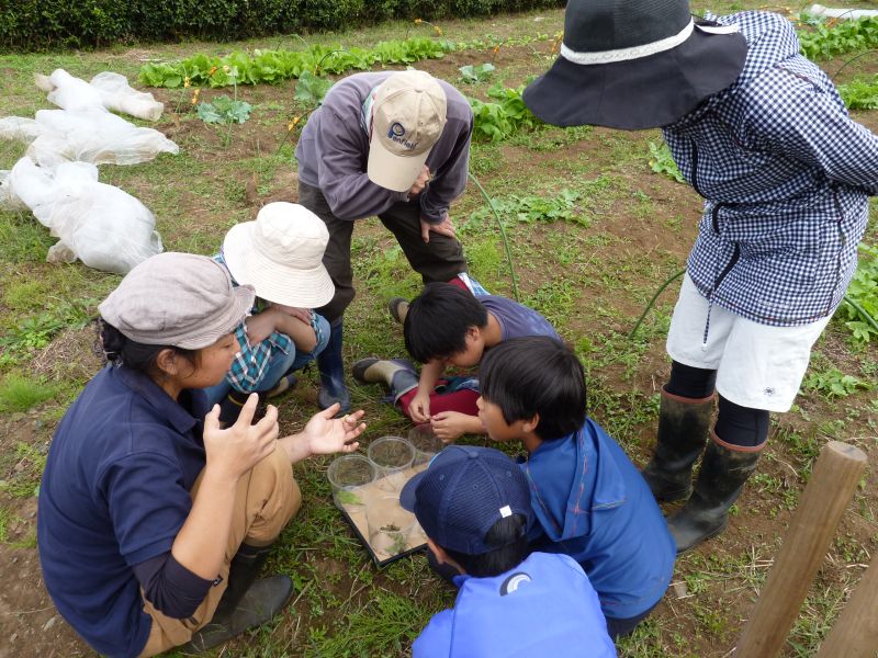 ポケモンポップコーンBOXに虫の混入が確認され一時販売中止に。妖怪も - ポケモンメモ