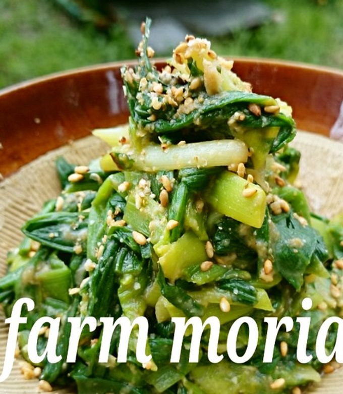 ヤブカンゾウとは食べると美味しいの？似た植物の中には毒草がある？🍀GreenSnap グリーンスナップ