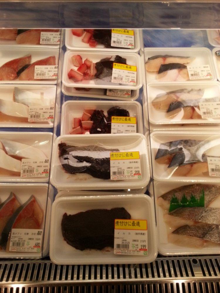 バンドウイルカ 坂東海豚- 海の生き物図鑑 - 動物図鑑 - 動物写真のホームページ