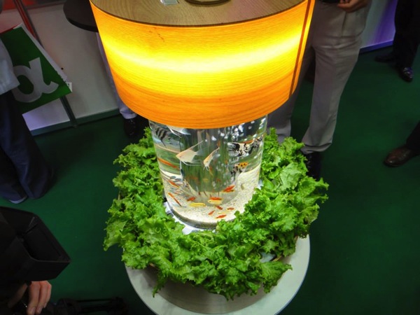 日本初！さかなで野菜を育てる「さかな畑」家庭用キット、日本経済新聞社「未来ショッピング」上で1万円の特別チケット発売開始株式会社アクポニのプレスリリース