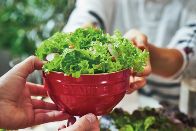 基本からアレンジまで!思わずつくりたくなる「グリーンリーフ 保存」のレシピ集クックパッド