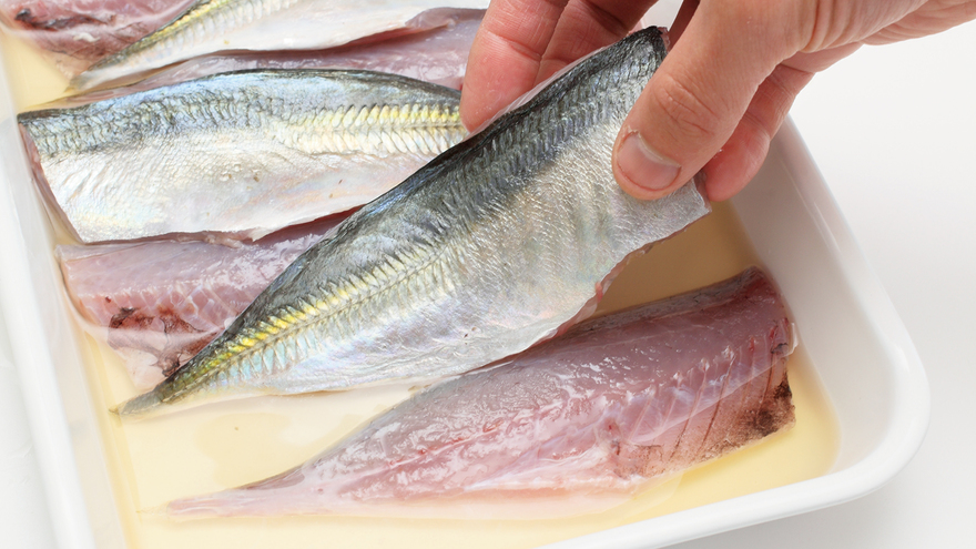 本田明子さんに教わる、魚の酢じめの極意と３つのレシピ。フードクロワッサン オンライン