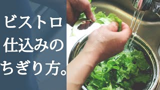 シャキッと食感に仕上がる! レタスの水切りテクと簡単サラダレシピ季節の食材のHOW TOアマノフーズ公式ブランドサイト