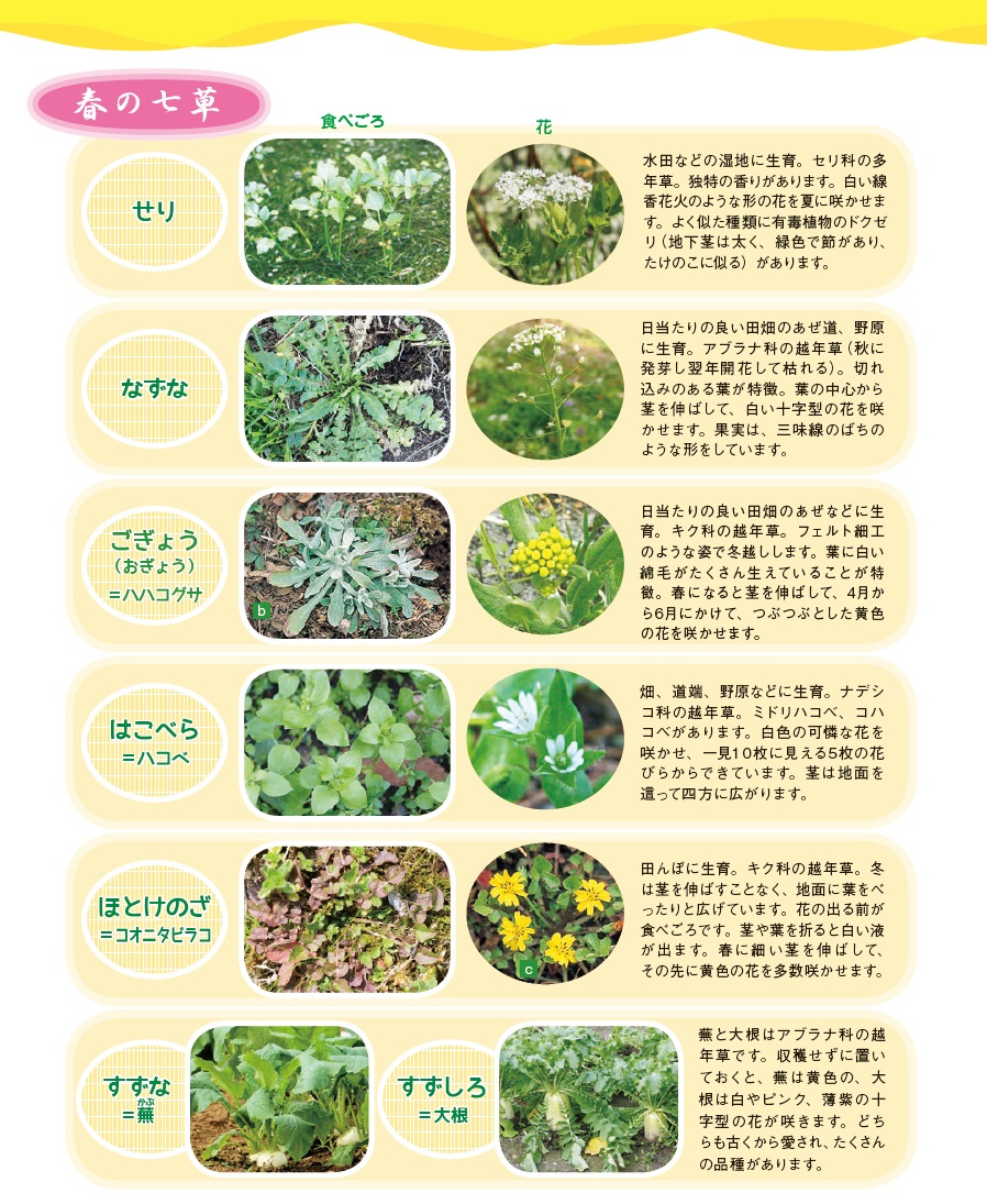 七草何故か冬だけない?」ウェビックコミュニティ