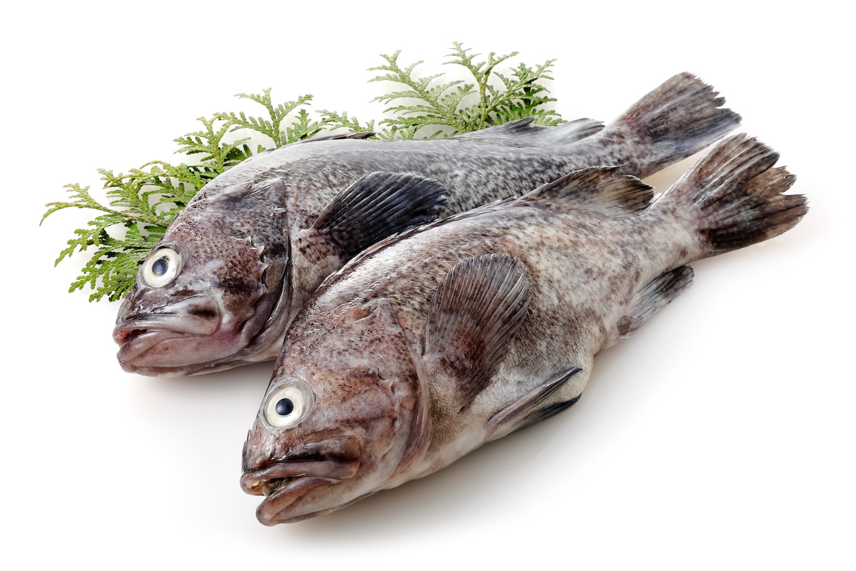 シンプルな黒そいの煮付け