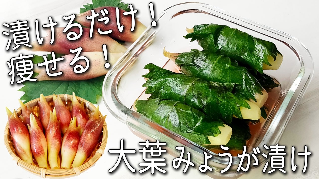 新発見! みょうがのレシピ4品。おつまみおかず、サラダ、食べやすい大量消費も◎三越伊勢丹の食メディアFOODIE フーディー