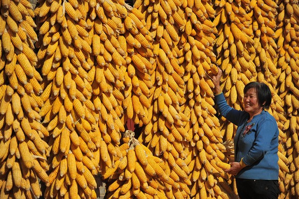 ステーキハウスシカゴからのお願いいつも当店をご愛顧いただきありがとうございます🌟当店は、少しでも多くのお客様にスムーズにご入店いただけるように、スタッフがお客様のお席を指定させていただいております◎その日のご予約や時間帯などを考慮してのお席のご