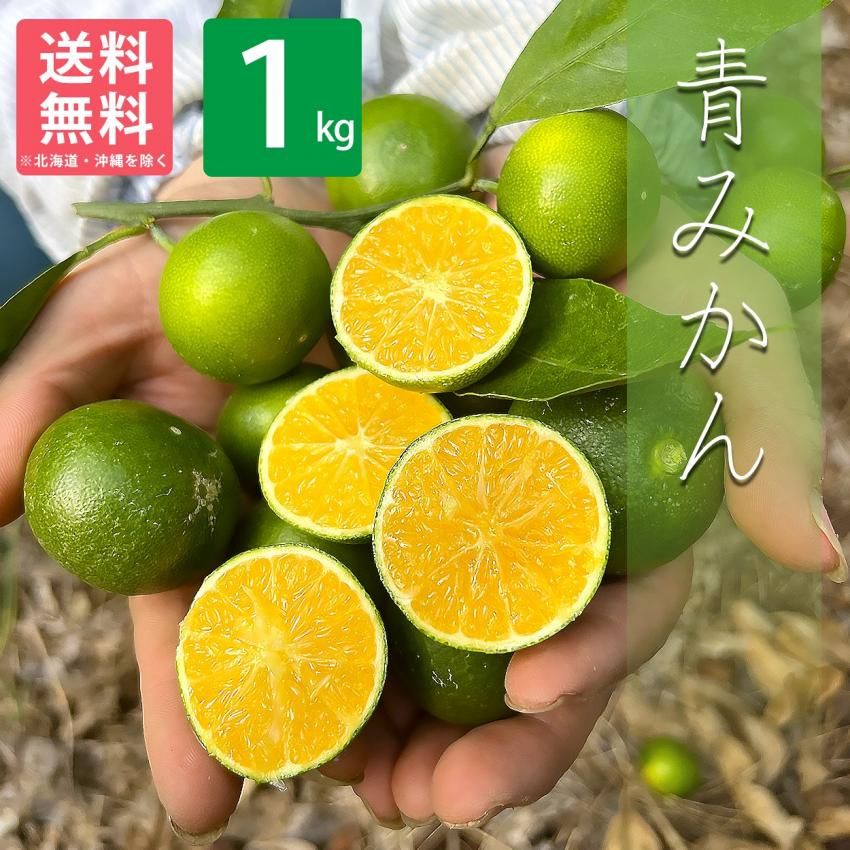 蜜柑 ミカン焼酎SQUARE