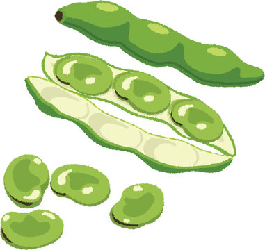 そら豆の手書き風黄緑色フレーム飾り枠イラスト無料イラスト かわいいフリー素材集 フレームぽけっと