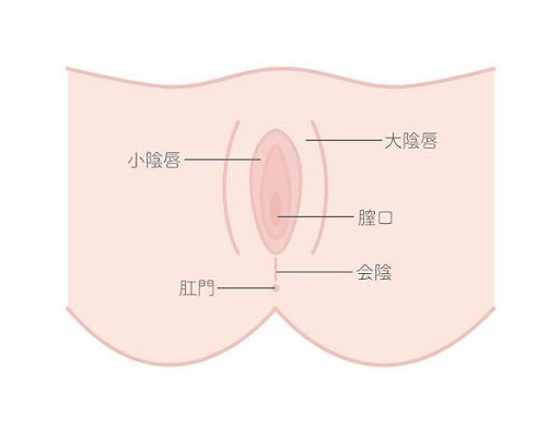 【楽天市場】【メール便対応可】トラッド ワセリンリップ／柚子・椿・桃（無色／香り付き） ギフト プレゼント プチギフト