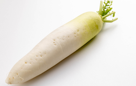 病害虫・生理障害情報 野菜栽培での病気 害虫 生理障害情報タキイの野菜タキイ種苗