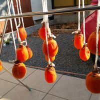 鏡餅に干し柿を飾る地域はどこ？するめ・串柿地域色が出る鏡餅の飾り方 - 趣味の音