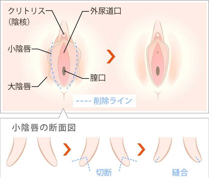 ぎんなんの簡単な剥き方やコツを紹介!おすすめの食べ方＆レシピも紹介 botanica -