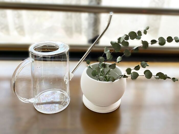 プッシュ式水差し”のベストはダイソーでした植物マガジン作業日誌